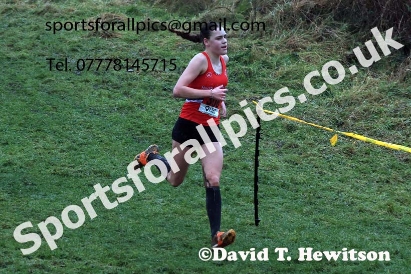 Girls under-15s 2023 North Eastern Cross Country Champs., Temple Park, South Shields. Photo: David T. Hewitson/Sports for All Pics